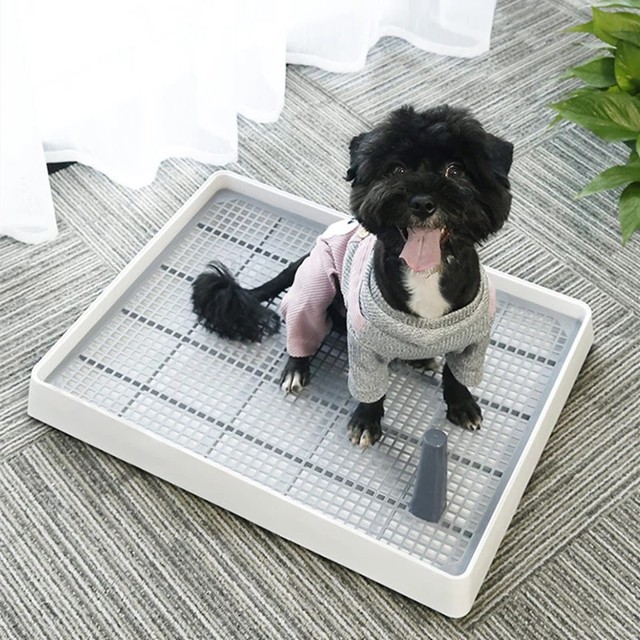 Dog Training Toilet Puppy Pad Holder Tray  Dog Potty Home Training Toilet  - Training - Aliexpress